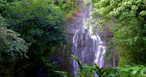 The Road to Hana