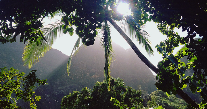 The Spectacular Iao Needle On Maui Travel To Paradise 3751