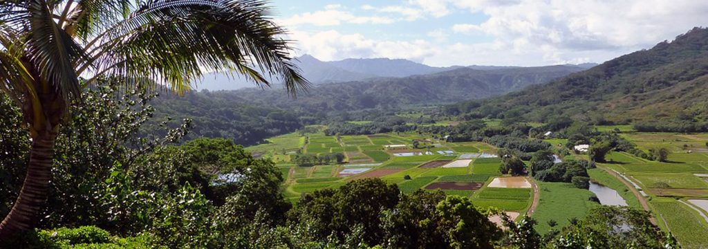 Travel to Kauai