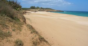 Papohaku Beach Park