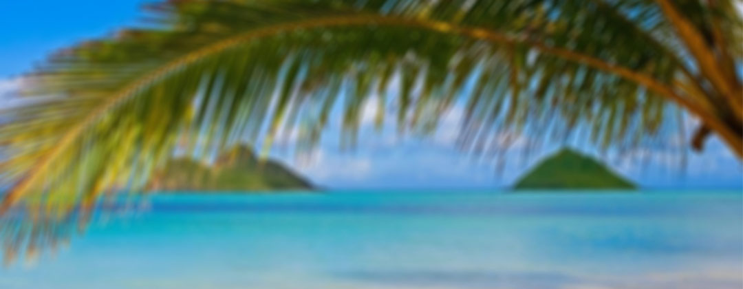 hawaii travel agent site