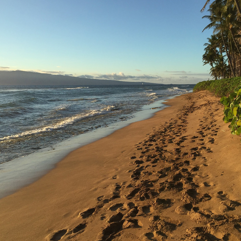 Hawaiian Islands - Travel to Maui
