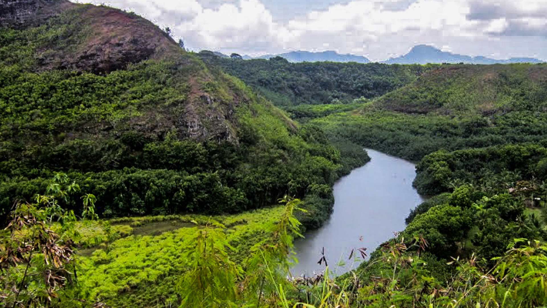 Outdoor Adventure on the Wailua River - Travel To Paradise